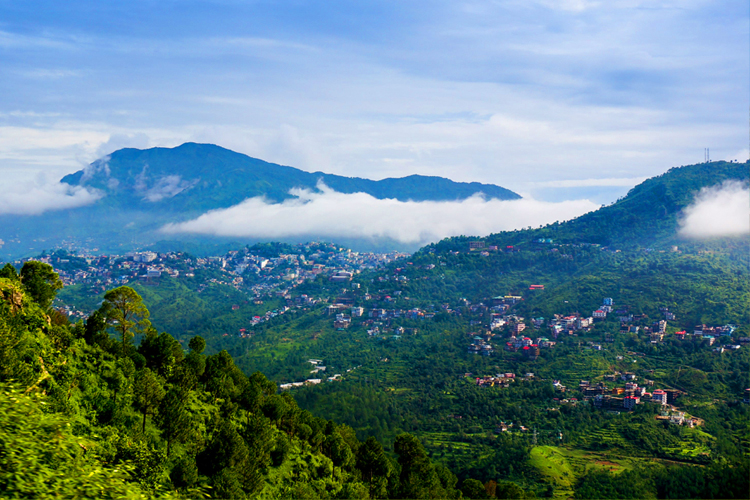  Hemkunj Estate Shimla